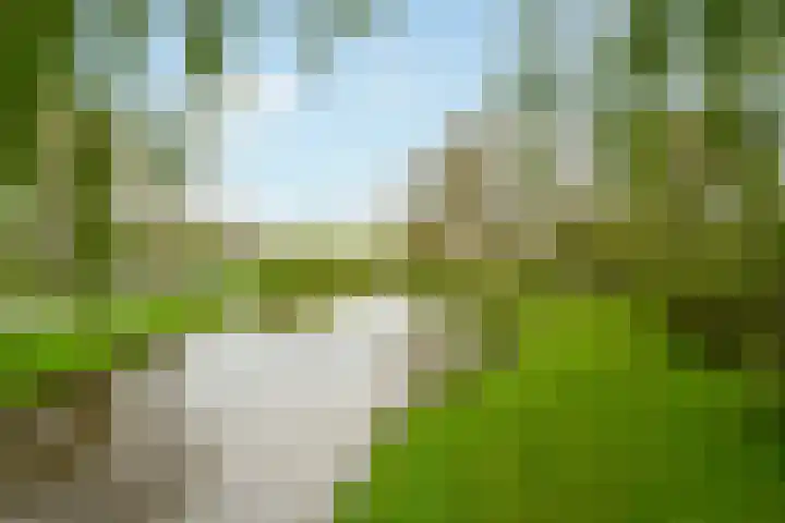 Essenlaan 19 Woerden thumbnail 52