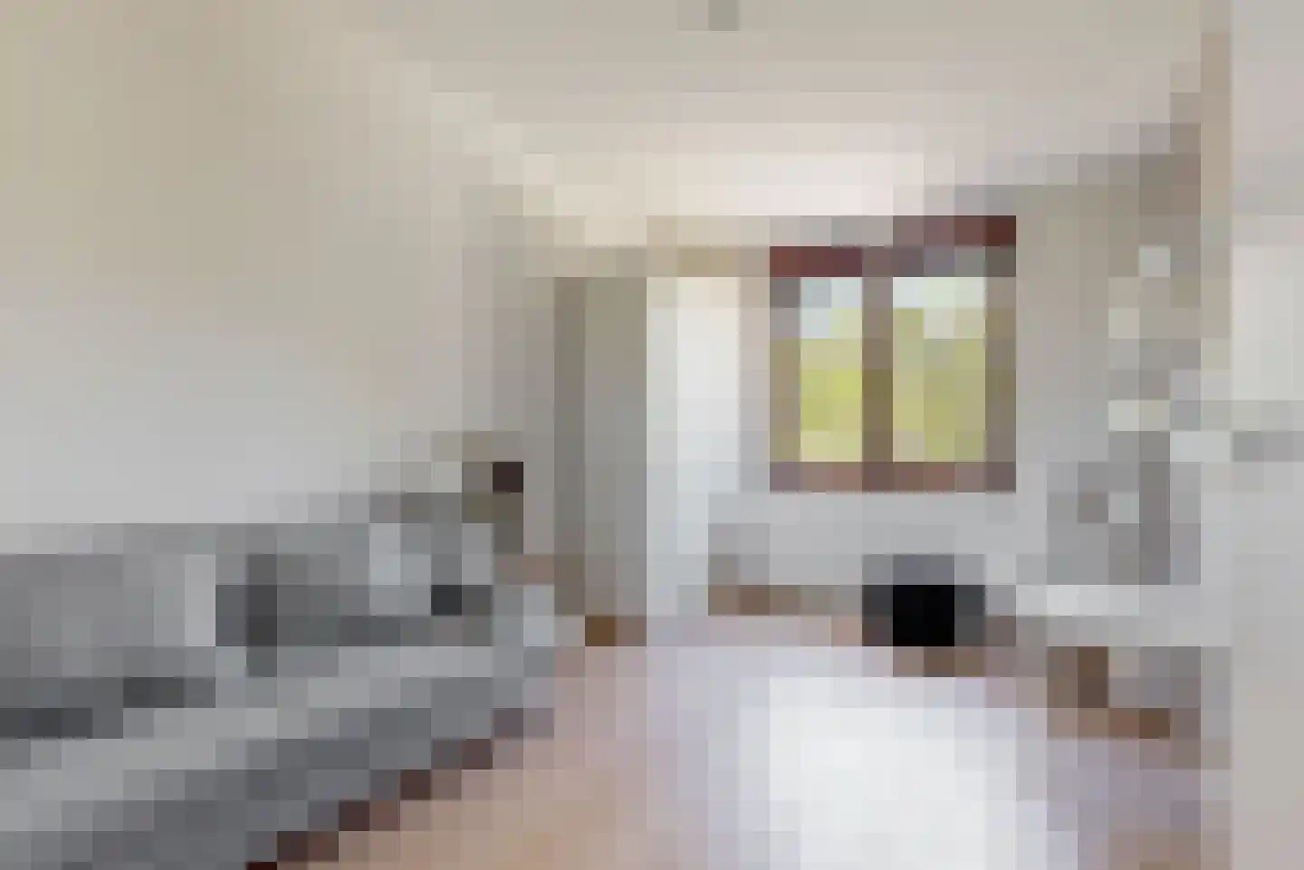 Essenlaan 23 Woerden thumbnail 24