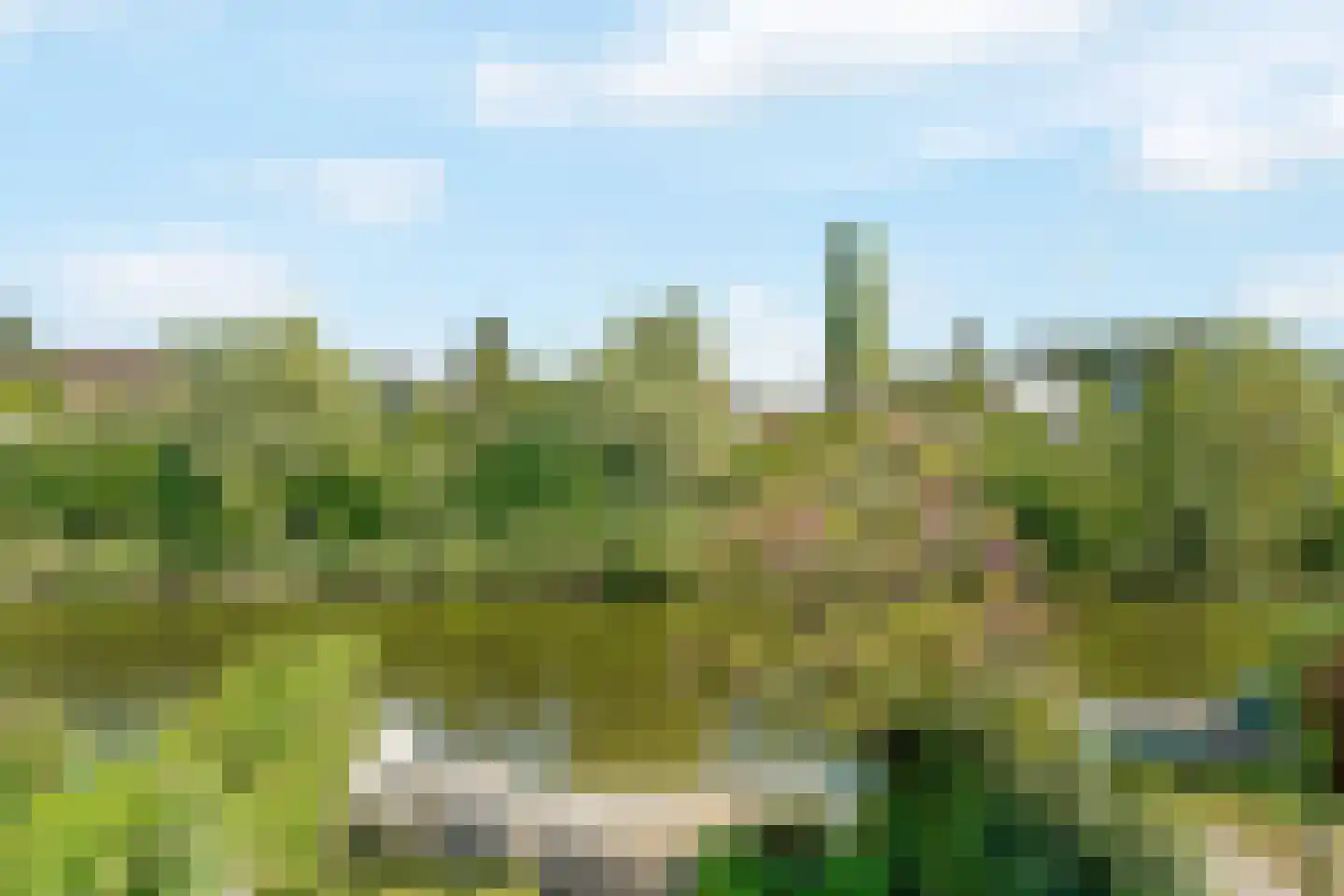 Essenlaan 23 Woerden thumbnail 33