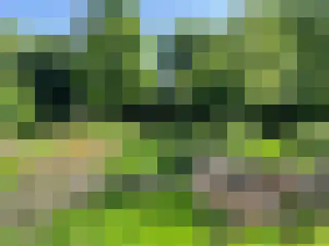 Essenlaan 24 Voorschoten thumbnail 12