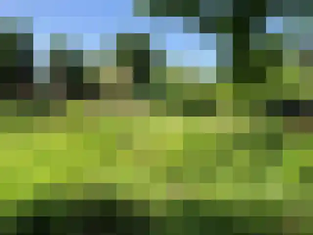 Essenlaan 24 Voorschoten thumbnail 14