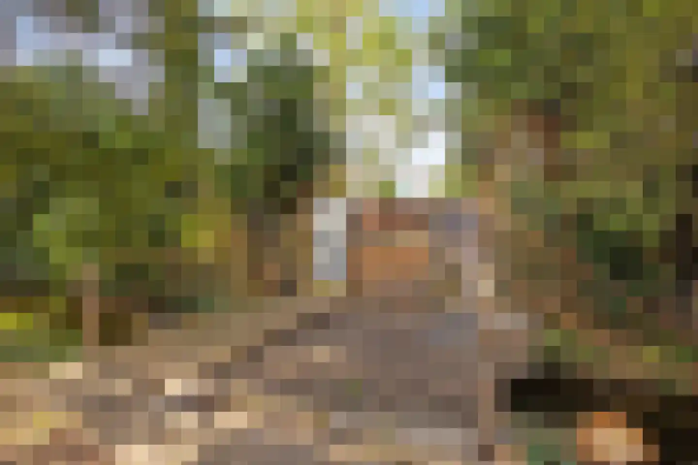 Essenlaan 24 Voorschoten thumbnail 4