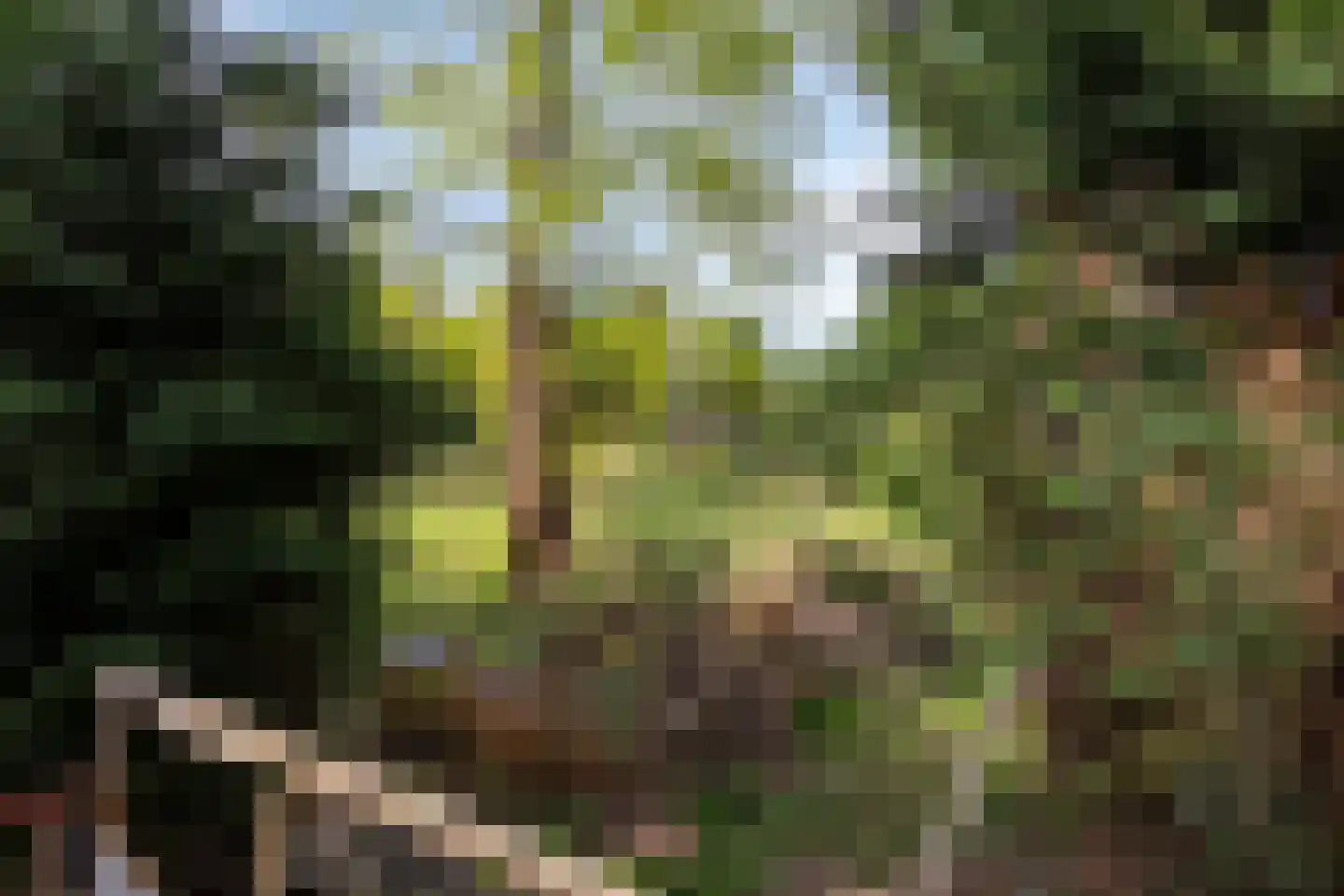 Essenlaan 24 Voorschoten thumbnail 5