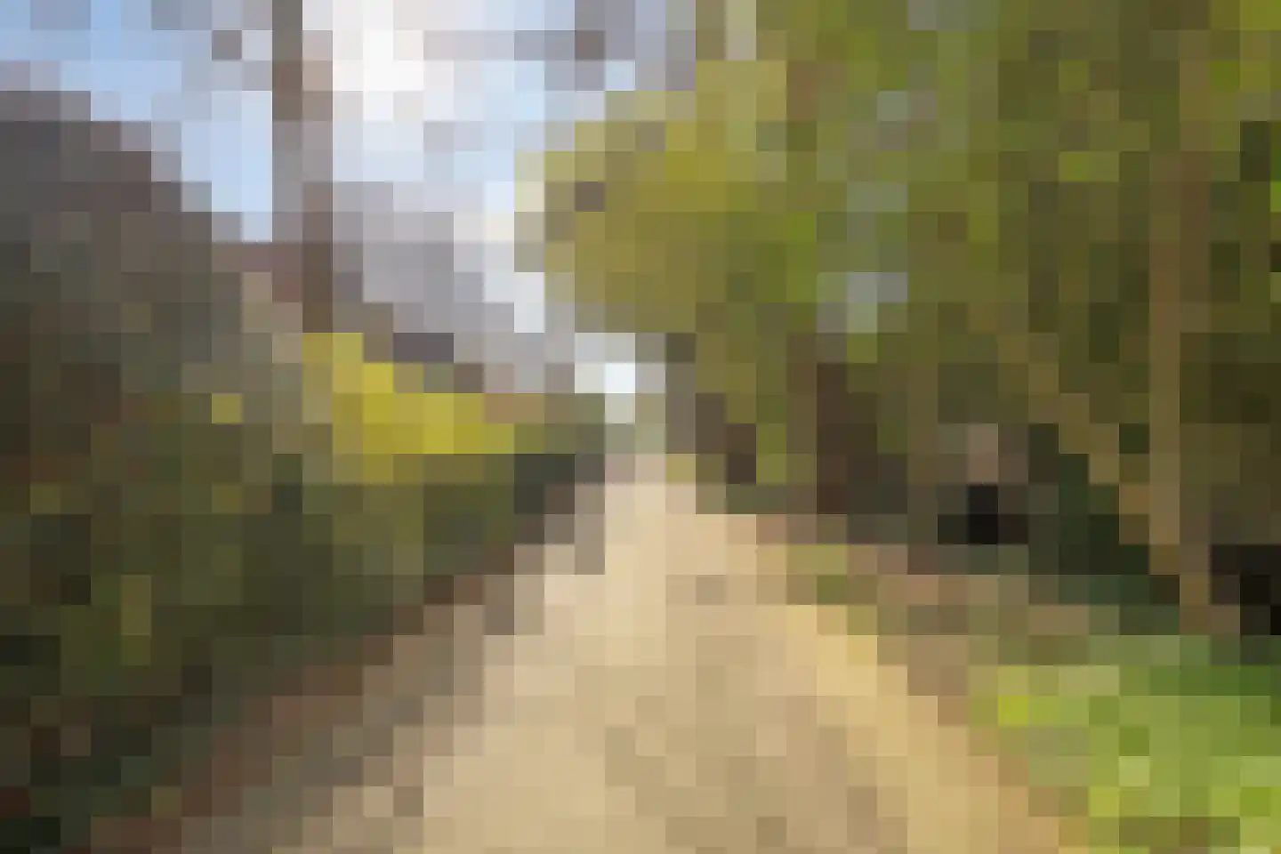 Essenlaan 24 Voorschoten thumbnail 8
