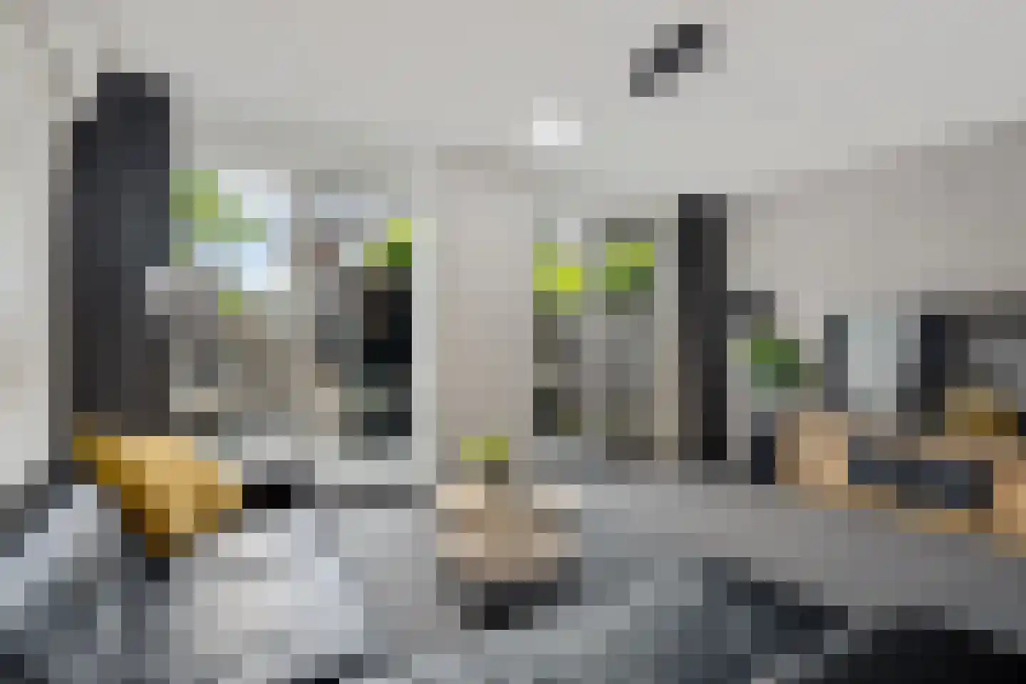 Essenlaan 24 Woudenberg thumbnail 12