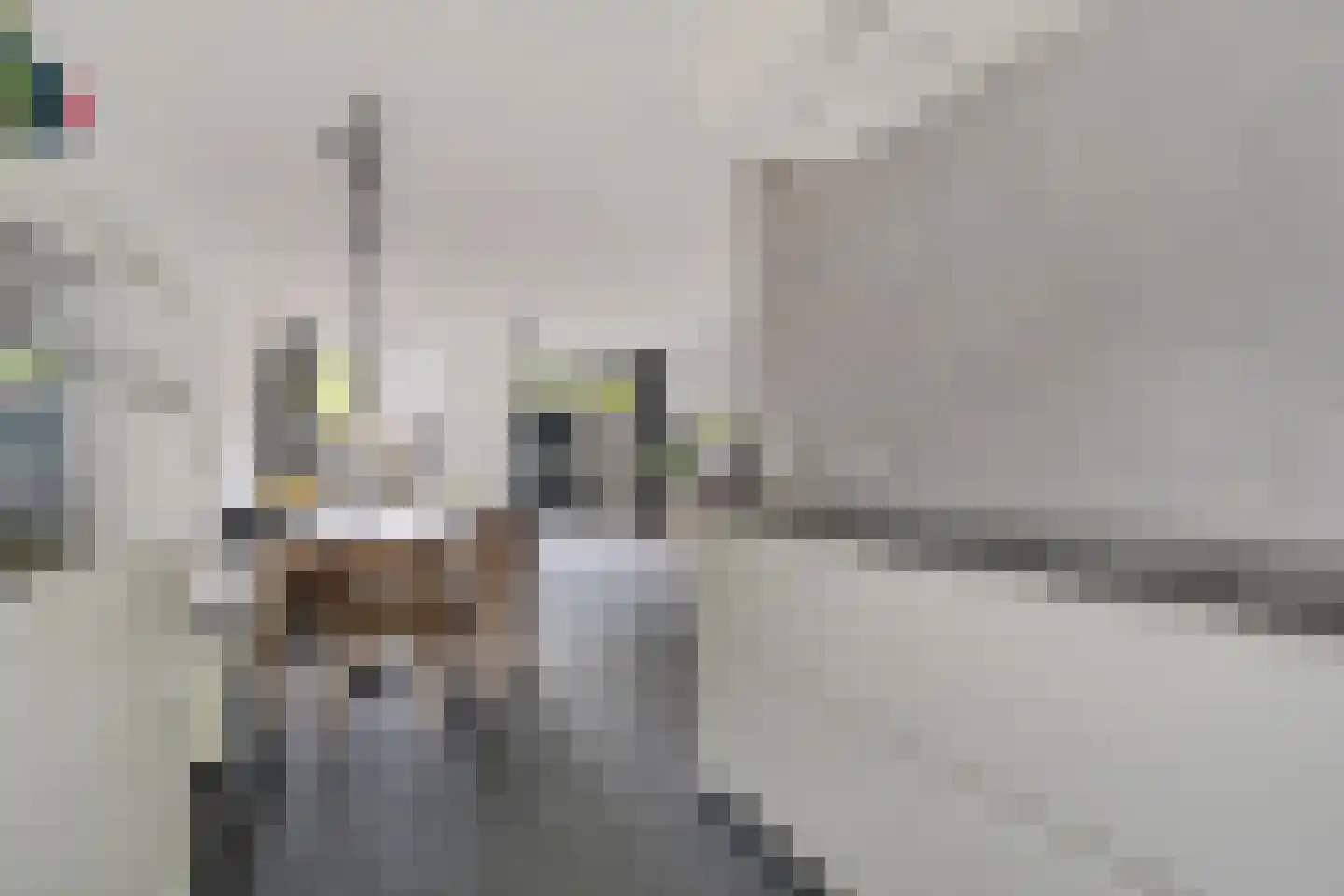 Essenlaan 24 Woudenberg thumbnail 18