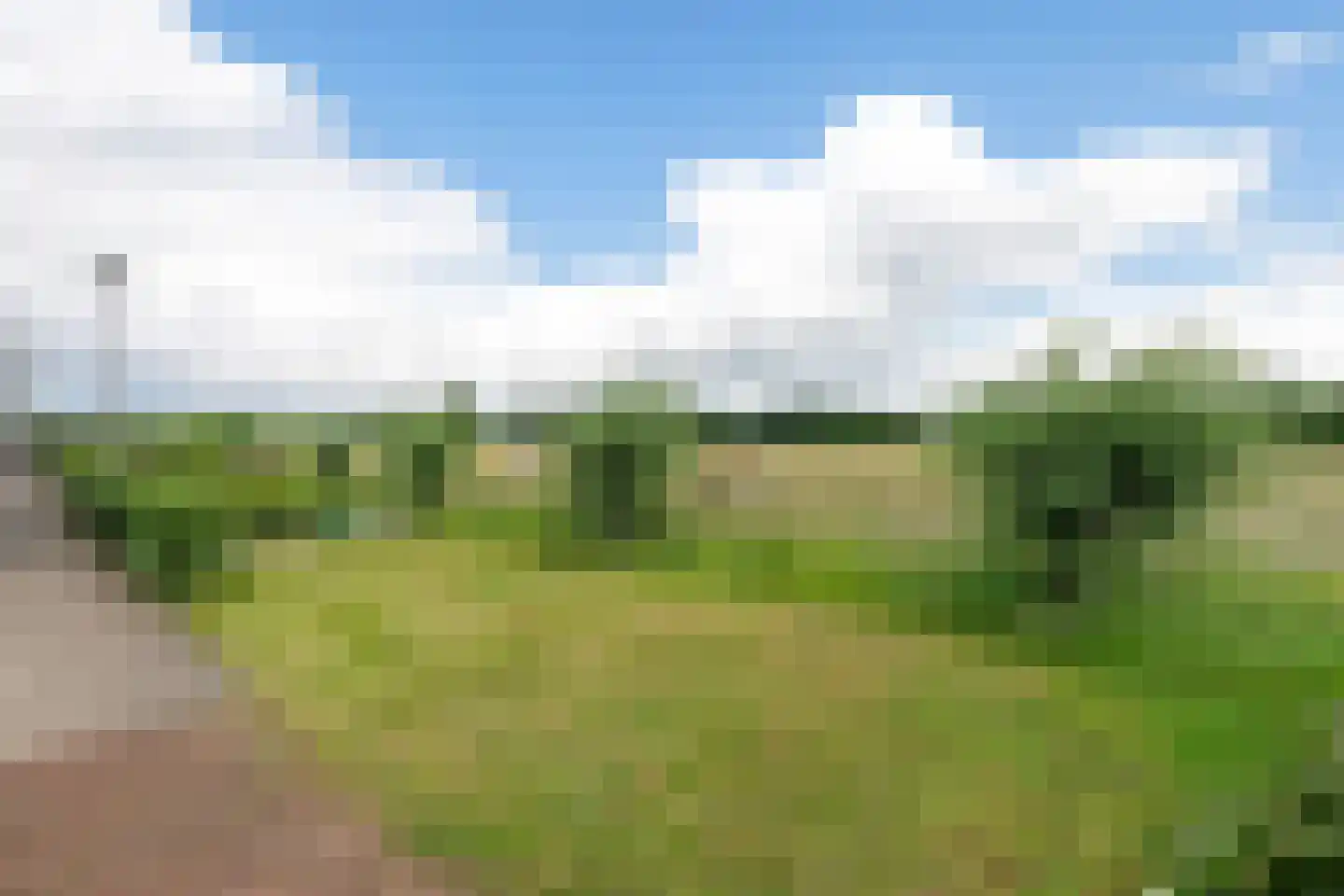 Essenlaan 24 Woudenberg thumbnail 41