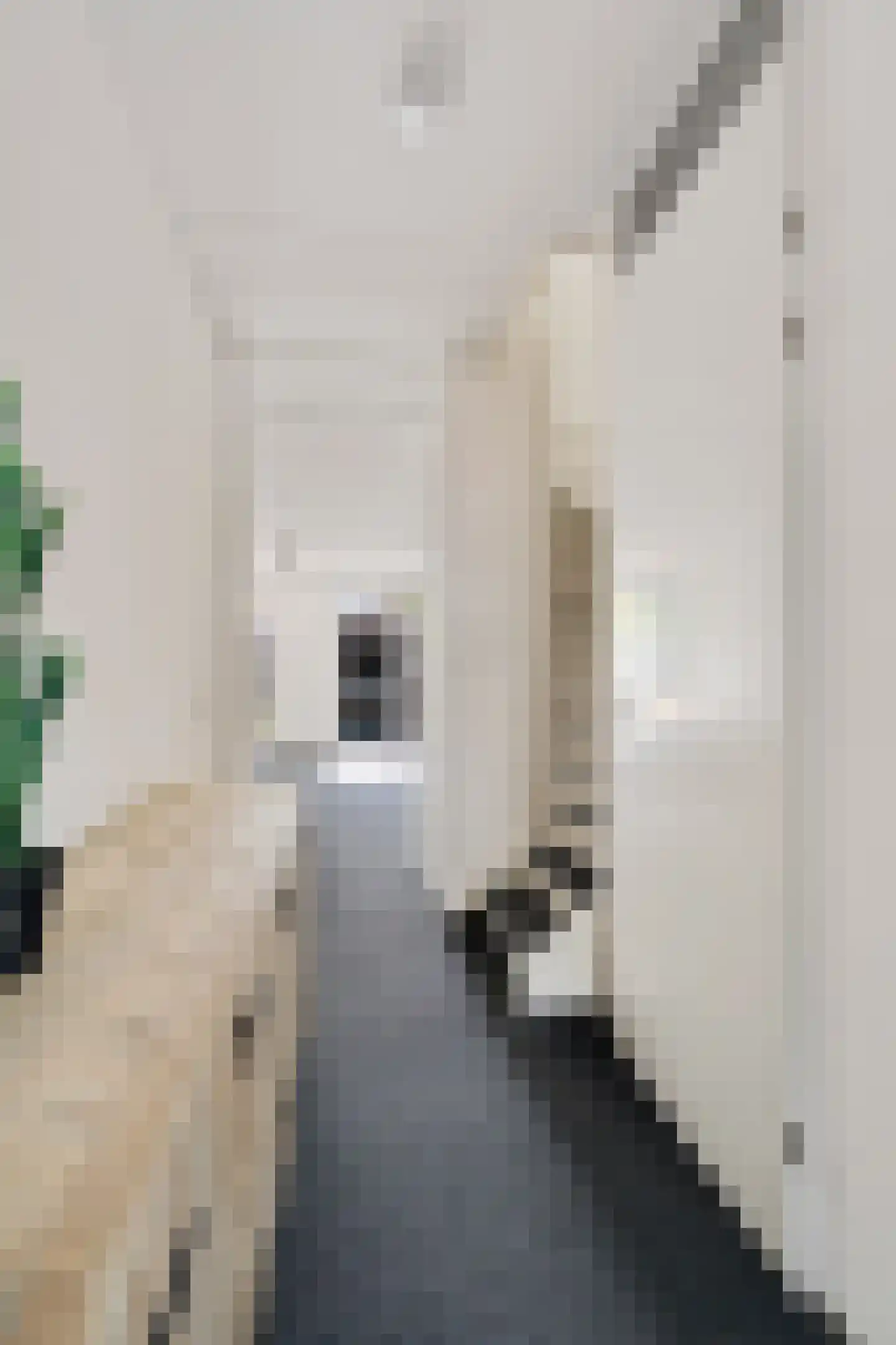 Essenlaan 24 Woudenberg thumbnail 7