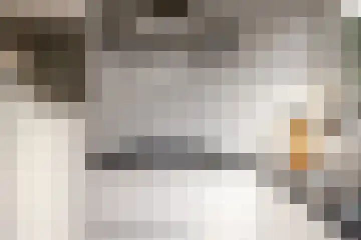 Essenlaan 24 Zwanenburg thumbnail 17