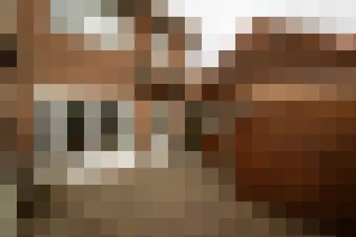 Essenlaan 24 Zwanenburg thumbnail 18