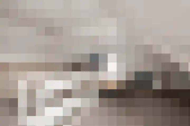 Essenlaan 24 Zwanenburg thumbnail 33