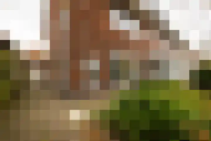 Essenlaan 24 Zwanenburg thumbnail 35