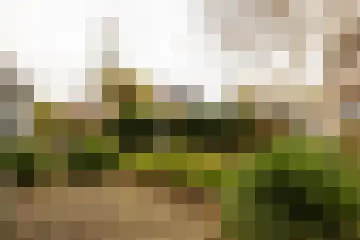 Essenlaan 24 Zwanenburg thumbnail 36