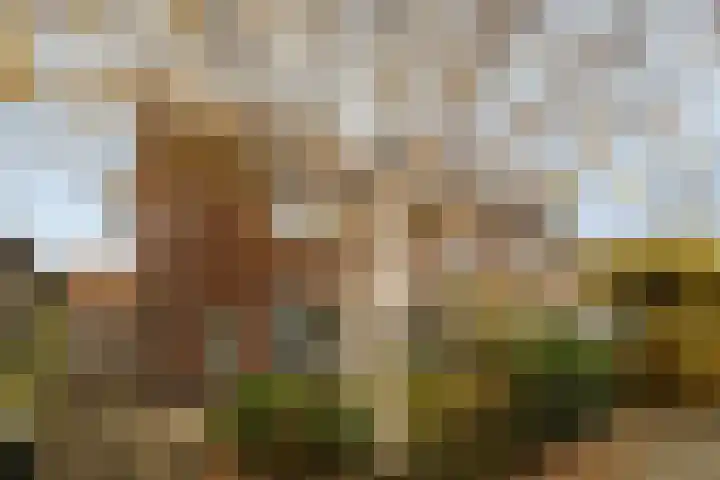 Essenlaan 24 Zwanenburg thumbnail 37