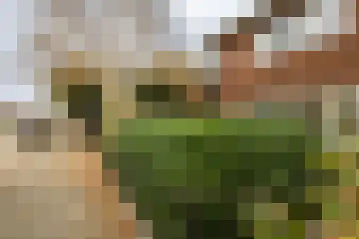 Essenlaan 24 Zwanenburg thumbnail 38