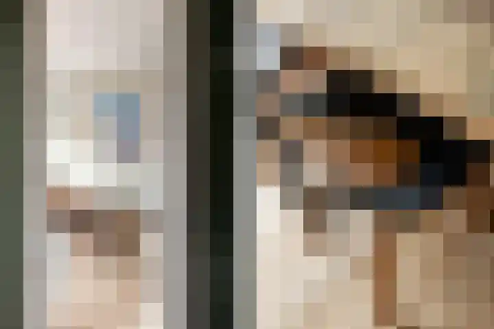 Essenlaan 24 Zwanenburg thumbnail 4