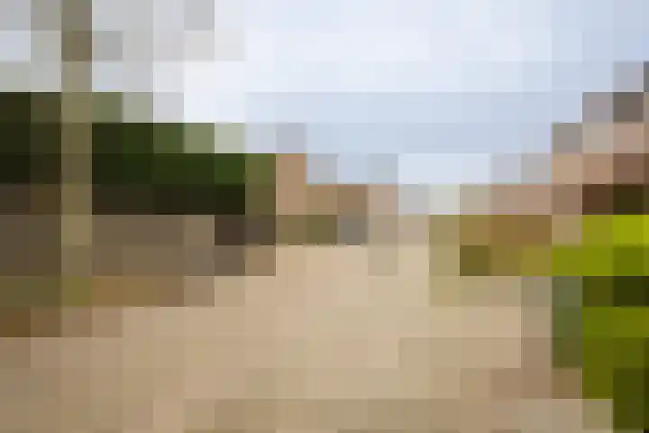 Essenlaan 24 Zwanenburg thumbnail 40