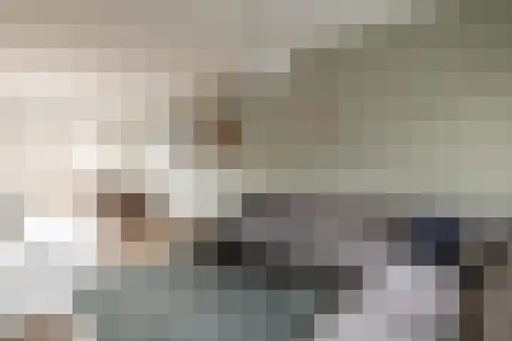 Essenlaan 24 Zwanenburg thumbnail 6