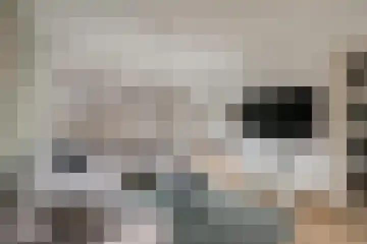 Essenlaan 24 Zwanenburg thumbnail 7