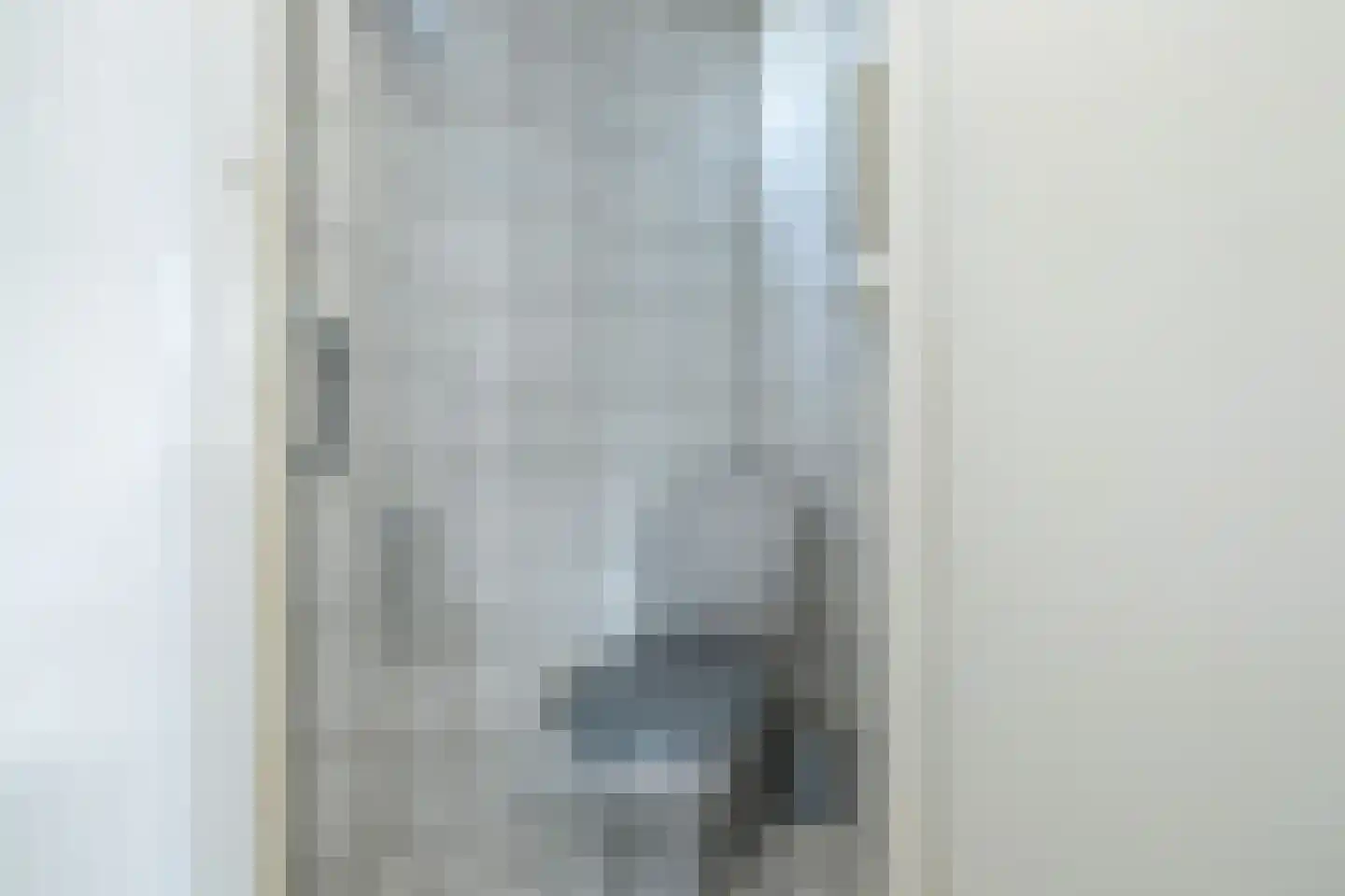 Essenlaan 25 Middelharnis thumbnail 12