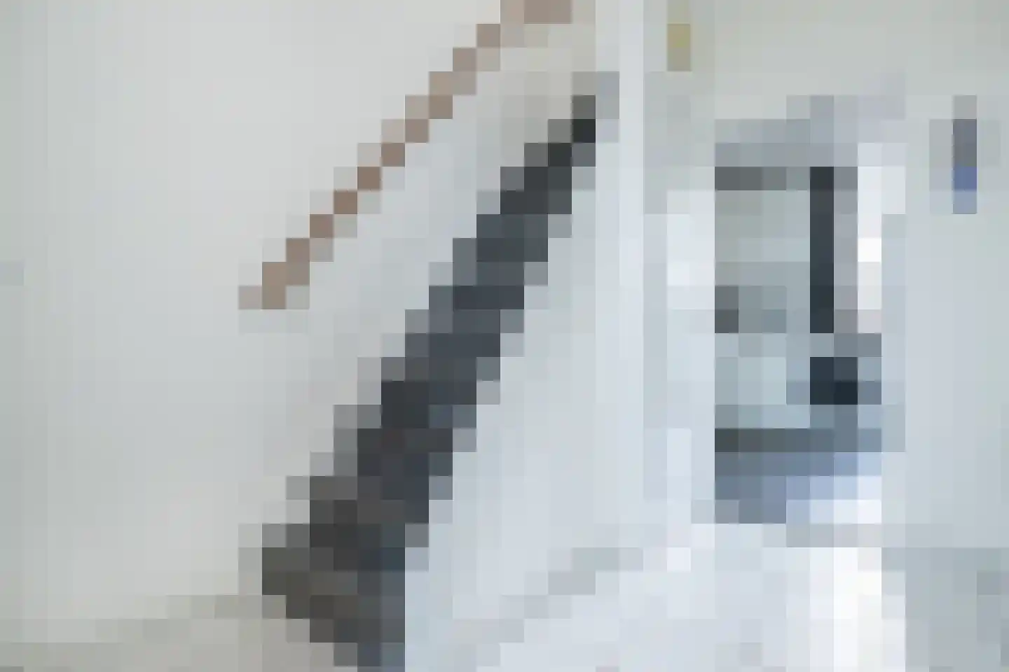 Essenlaan 25 Middelharnis thumbnail 13