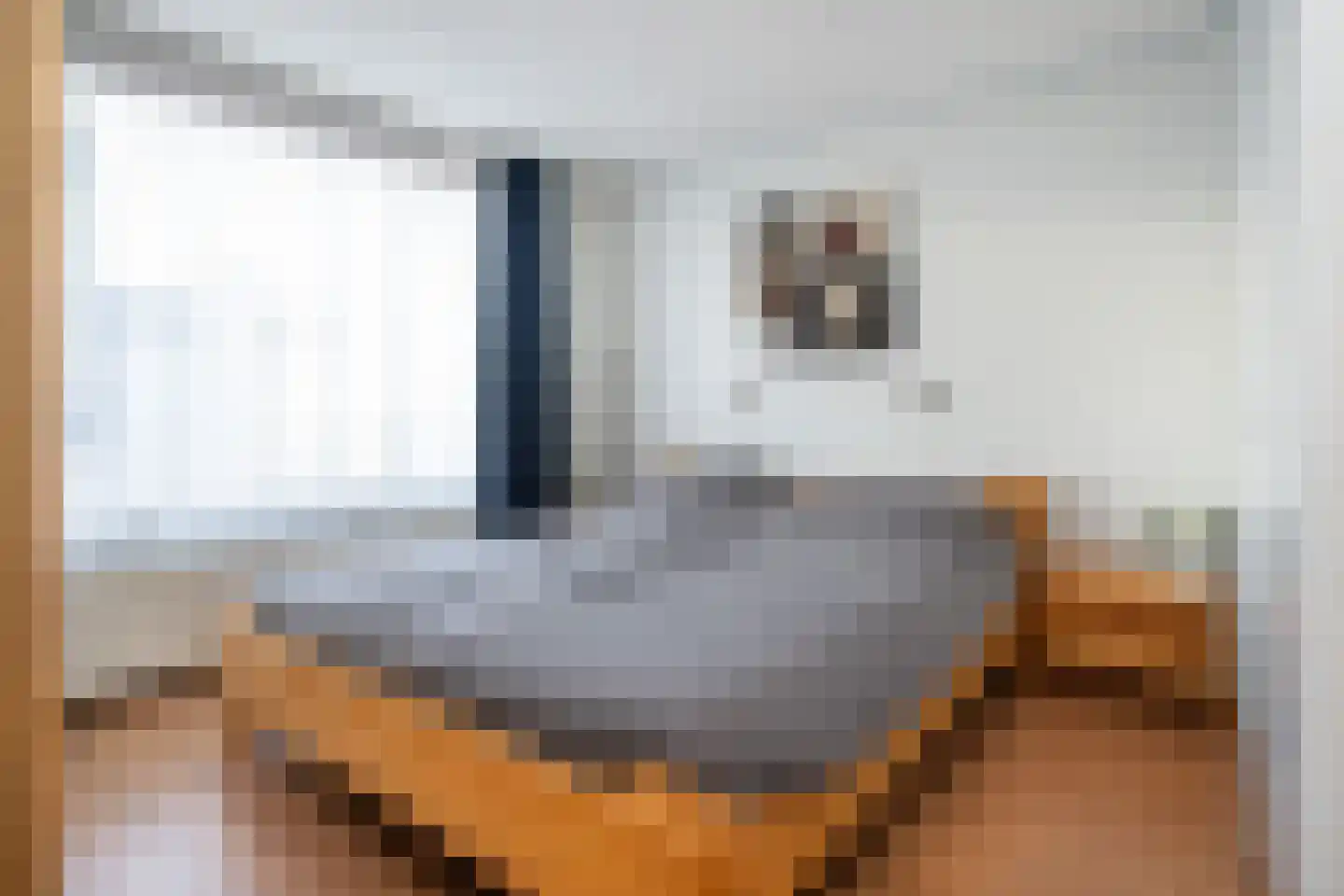 Essenlaan 25 Middelharnis thumbnail 14