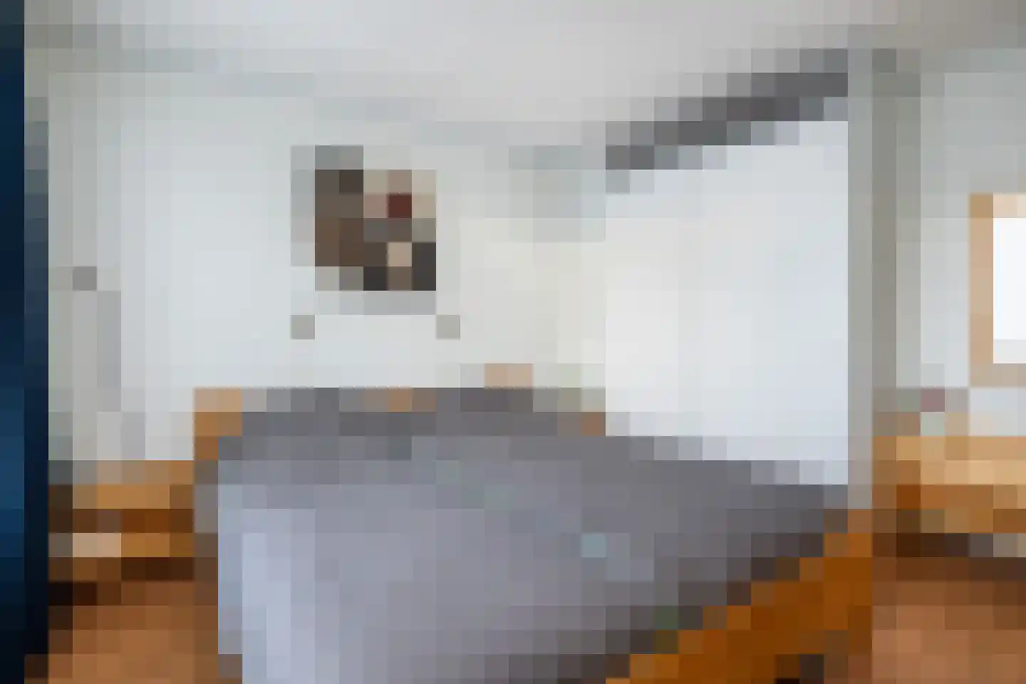 Essenlaan 25 Middelharnis thumbnail 15