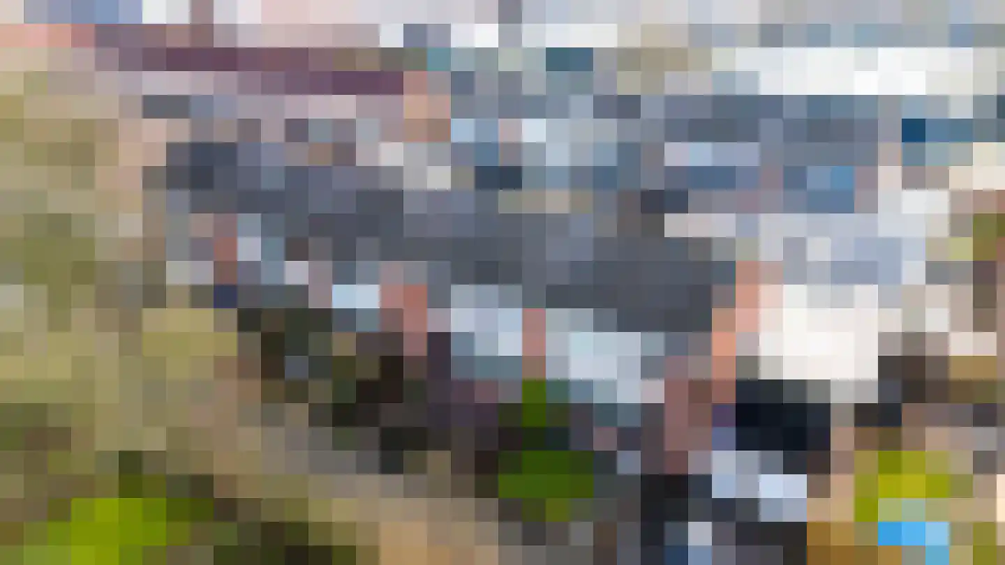 Essenlaan 25 Middelharnis thumbnail 28