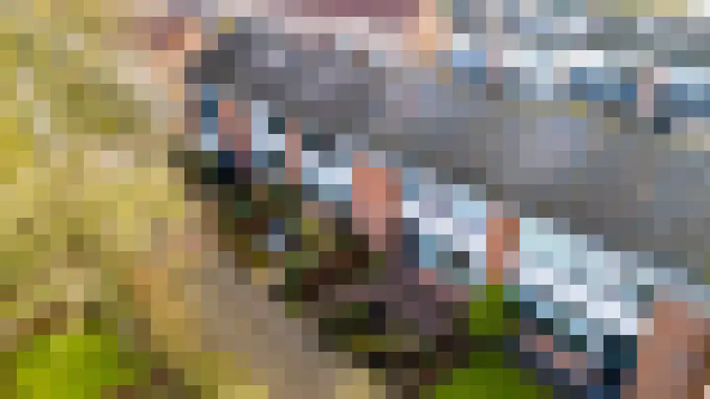 Essenlaan 25 Middelharnis thumbnail 4
