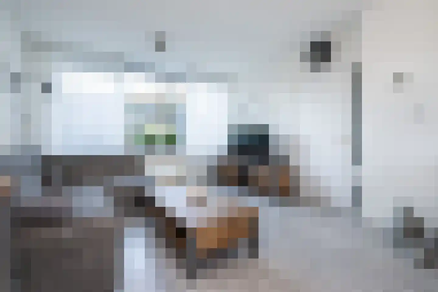 Essenlaan 25 Middelharnis thumbnail 6