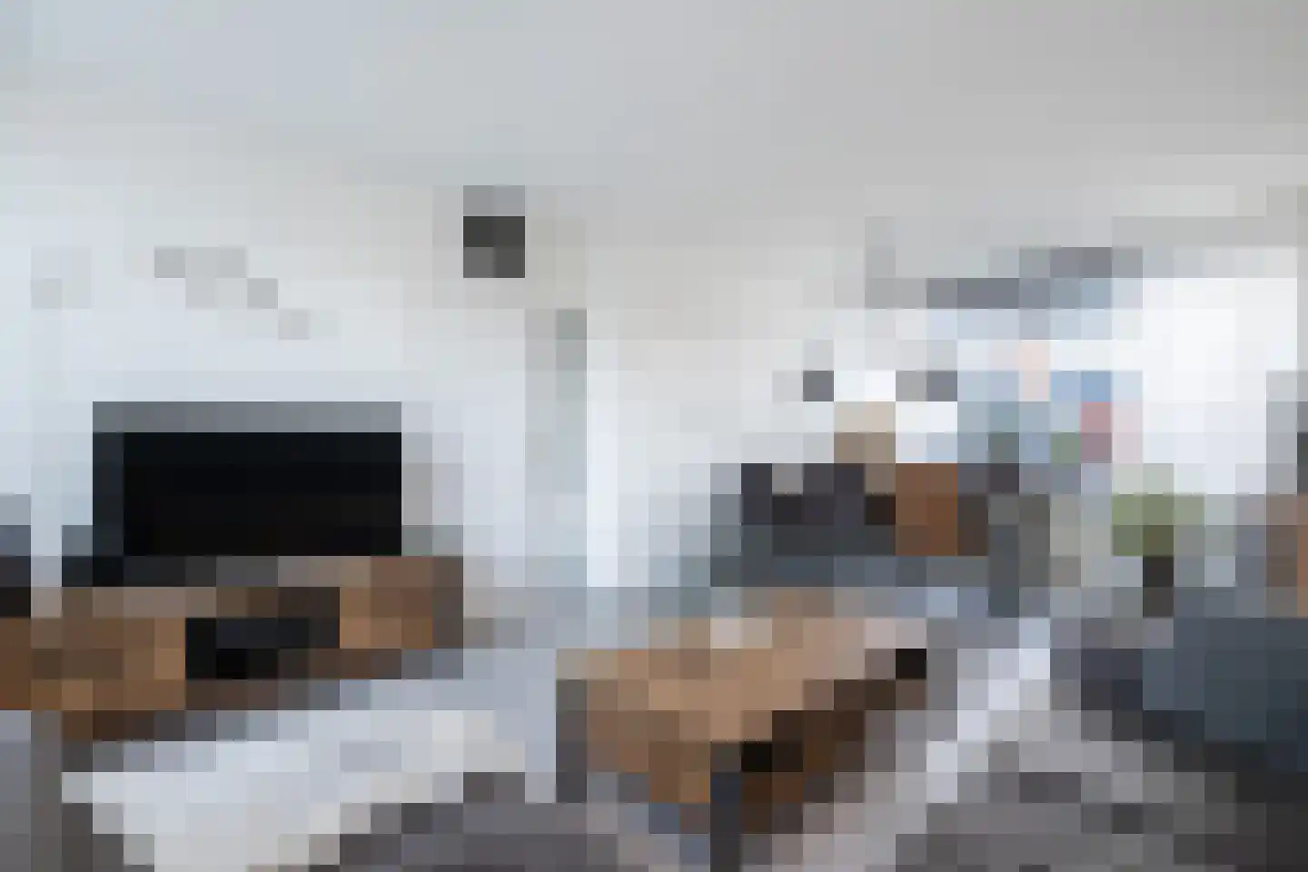 Essenlaan 25 Middelharnis thumbnail 8