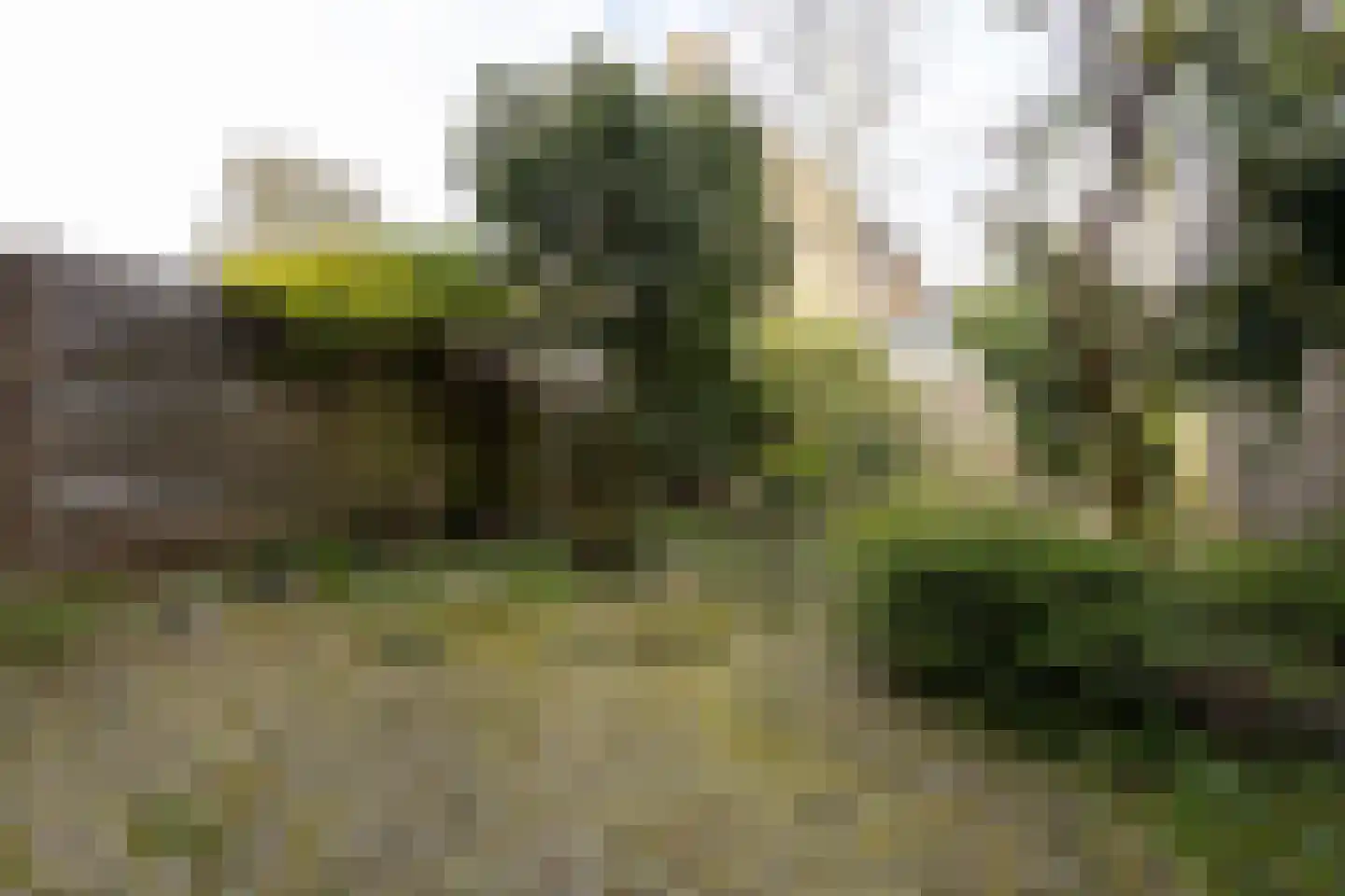 Essenlaan 29 Ter Aar thumbnail 18