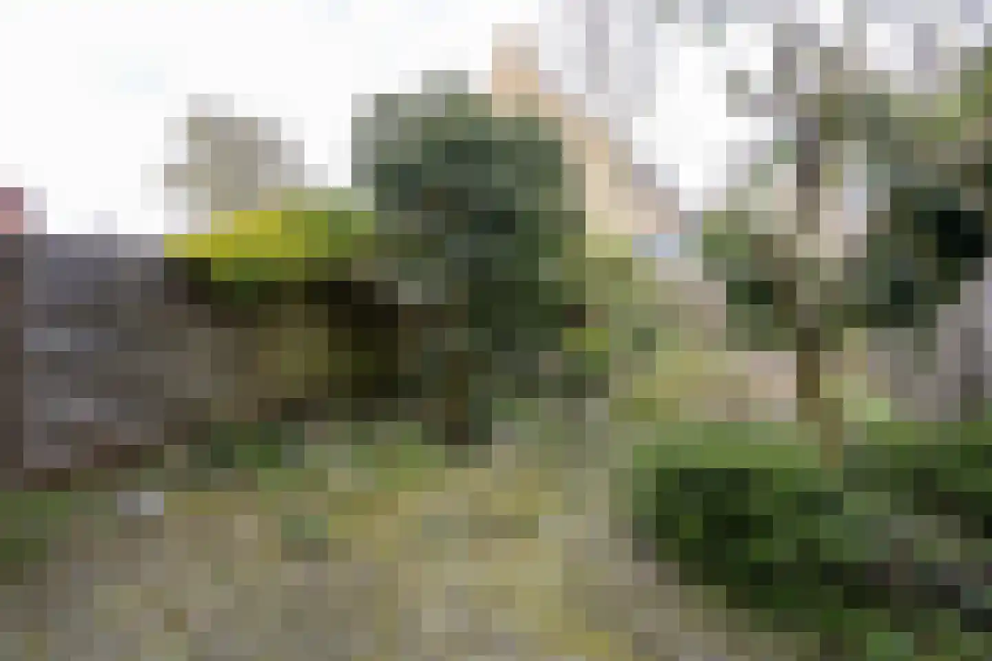 Essenlaan 29 Ter Aar thumbnail 19