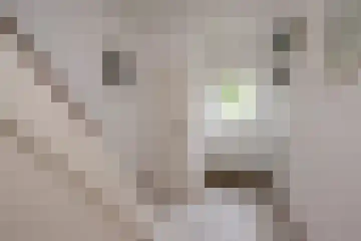 Essenlaan 3 Nijkerk thumbnail 12