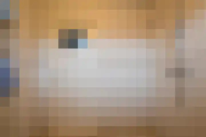 Essenlaan 3 Nijkerk thumbnail 22