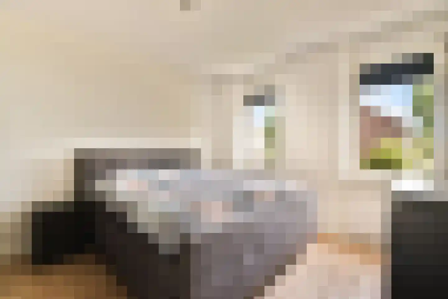 Essenlaan 32 a Sassenheim thumbnail 11