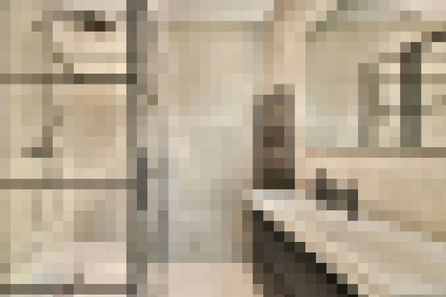 Essenlaan 32 a Sassenheim thumbnail 13