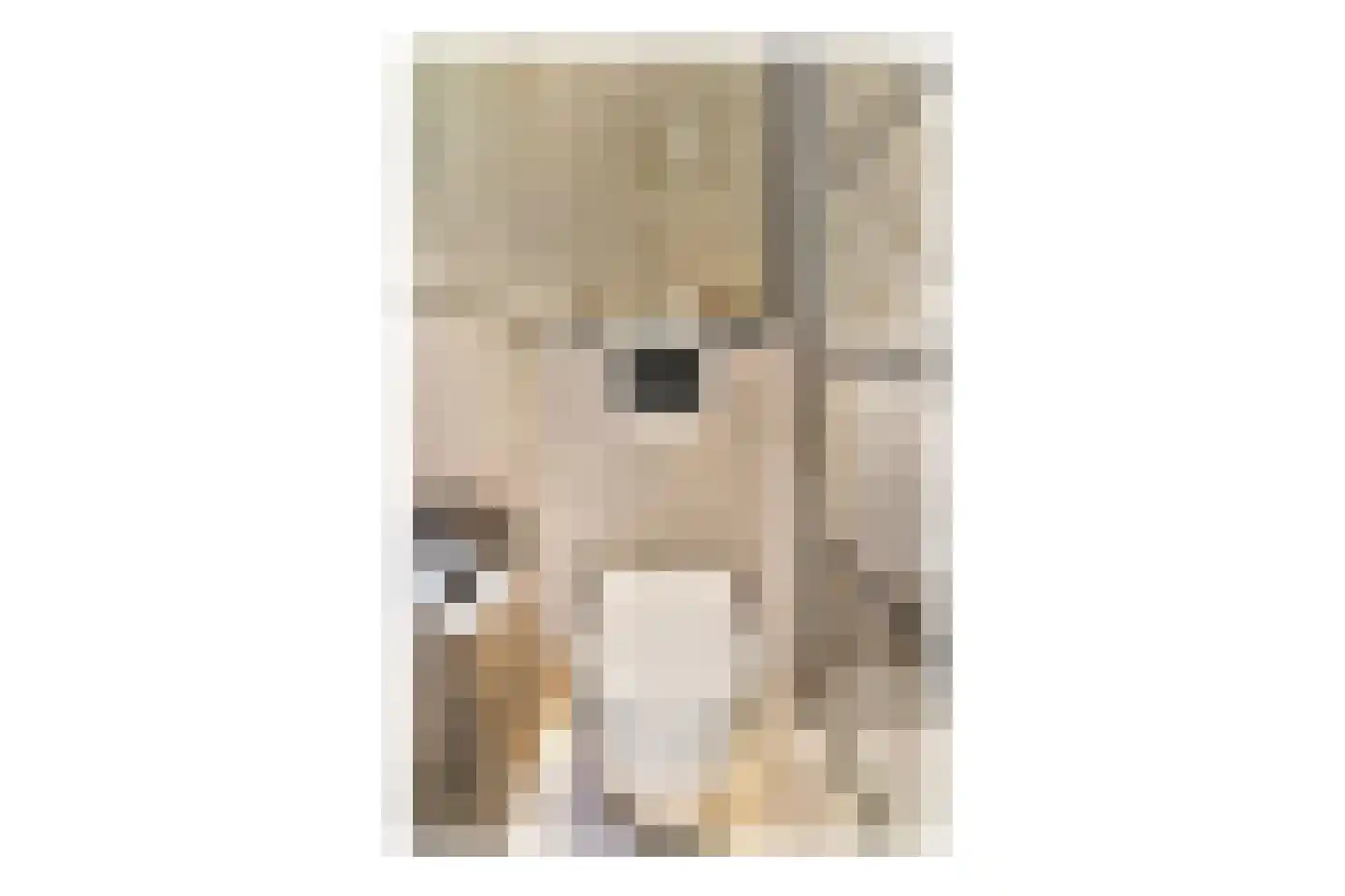 Essenlaan 32 a Sassenheim thumbnail 14