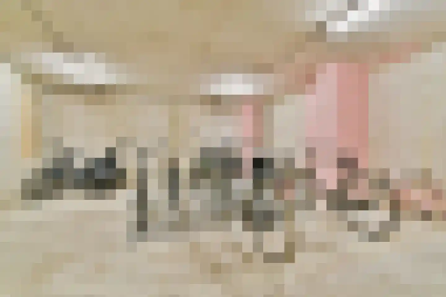 Essenlaan 32 a Sassenheim thumbnail 15