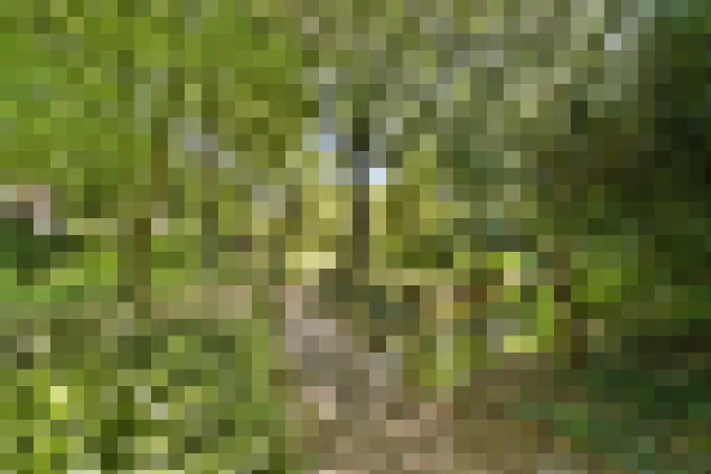 Essenlaan 32 a Sassenheim thumbnail 16