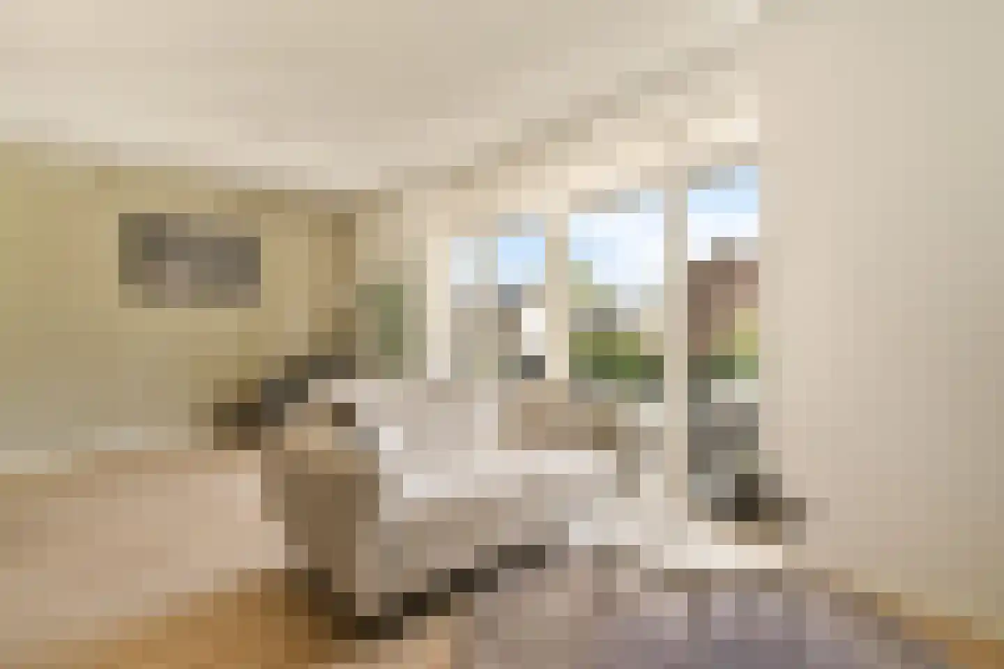 Essenlaan 32 a Sassenheim thumbnail 5
