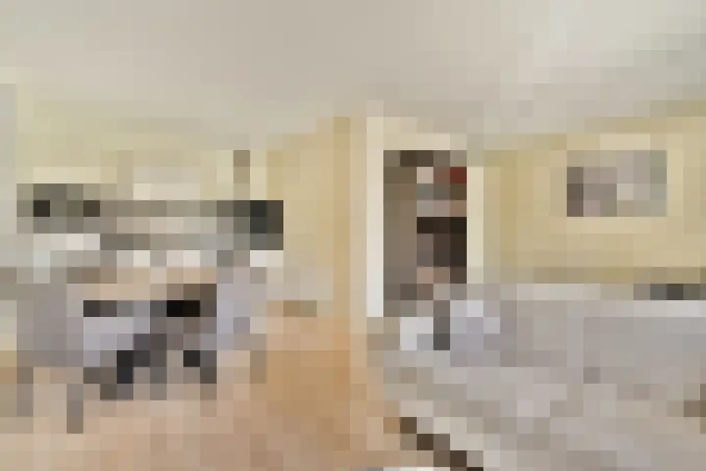 Essenlaan 32 a Sassenheim thumbnail 6