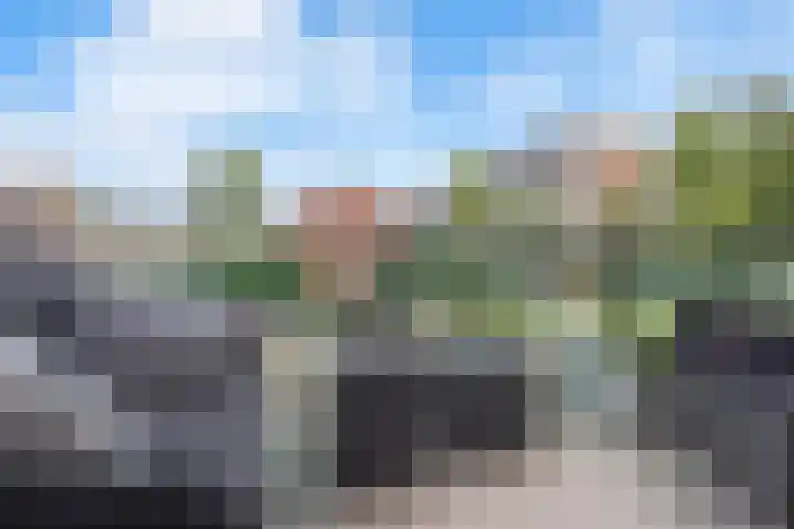 Essenlaan 32 b Sassenheim thumbnail 15