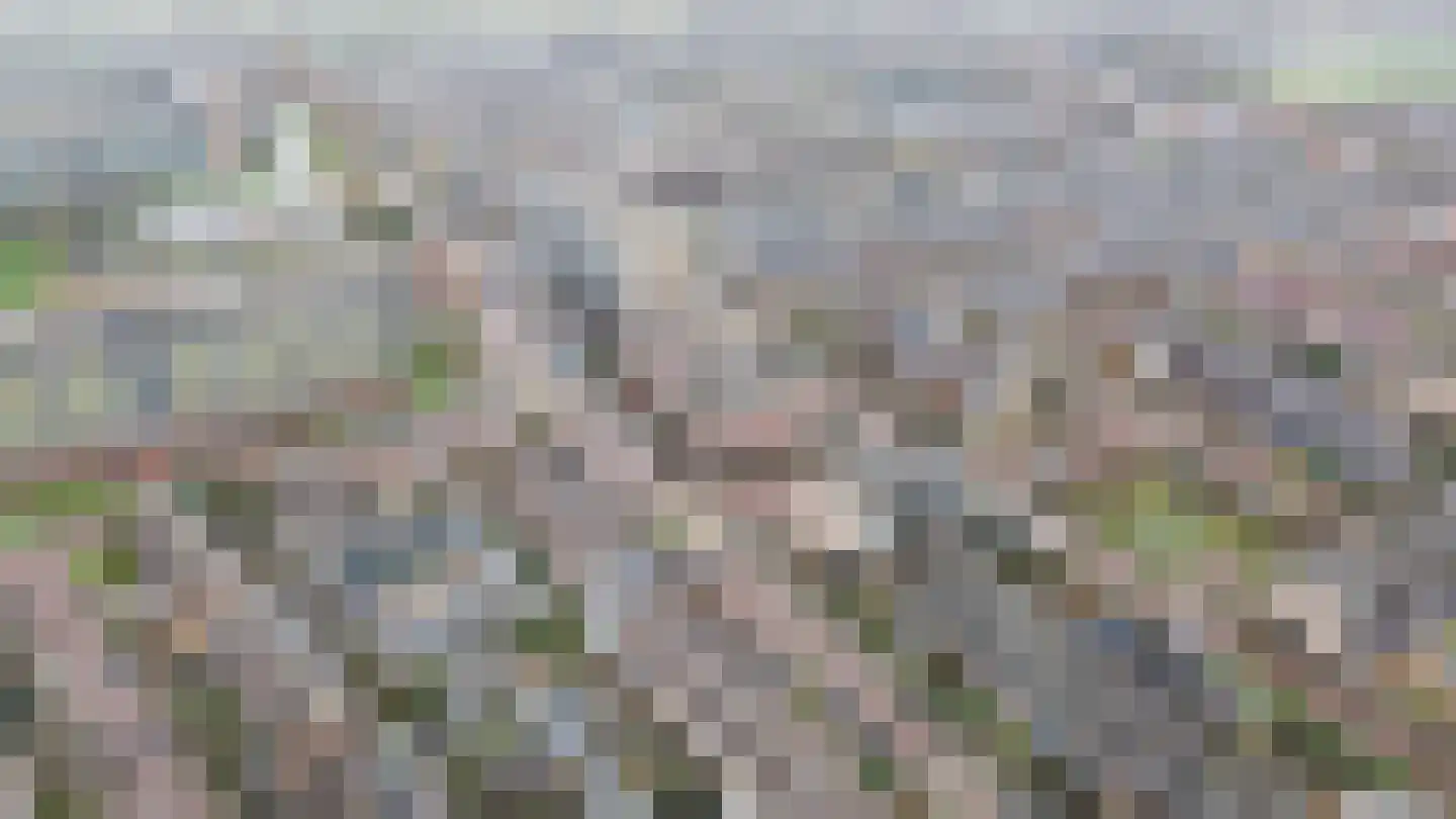 Essenlaan 32 c Sassenheim thumbnail 22