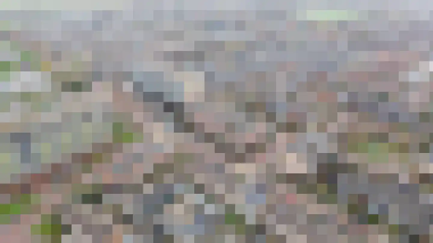 Essenlaan 32 c Sassenheim thumbnail 23