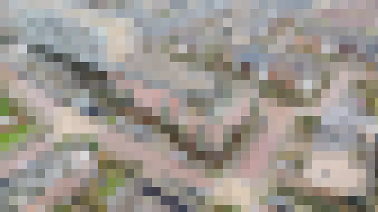 Essenlaan 32 c Sassenheim thumbnail 25