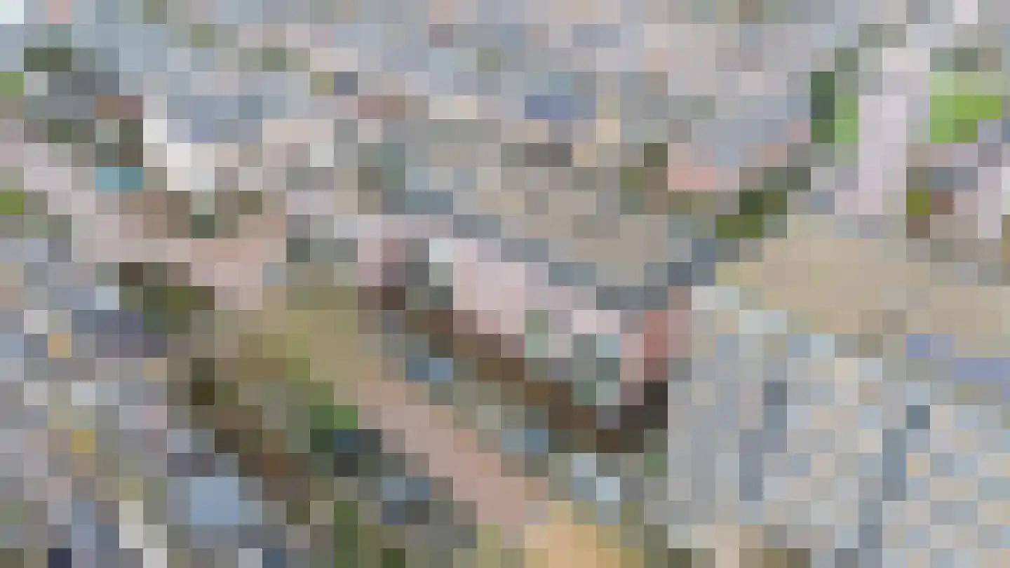 Essenlaan 32 c Sassenheim thumbnail 27