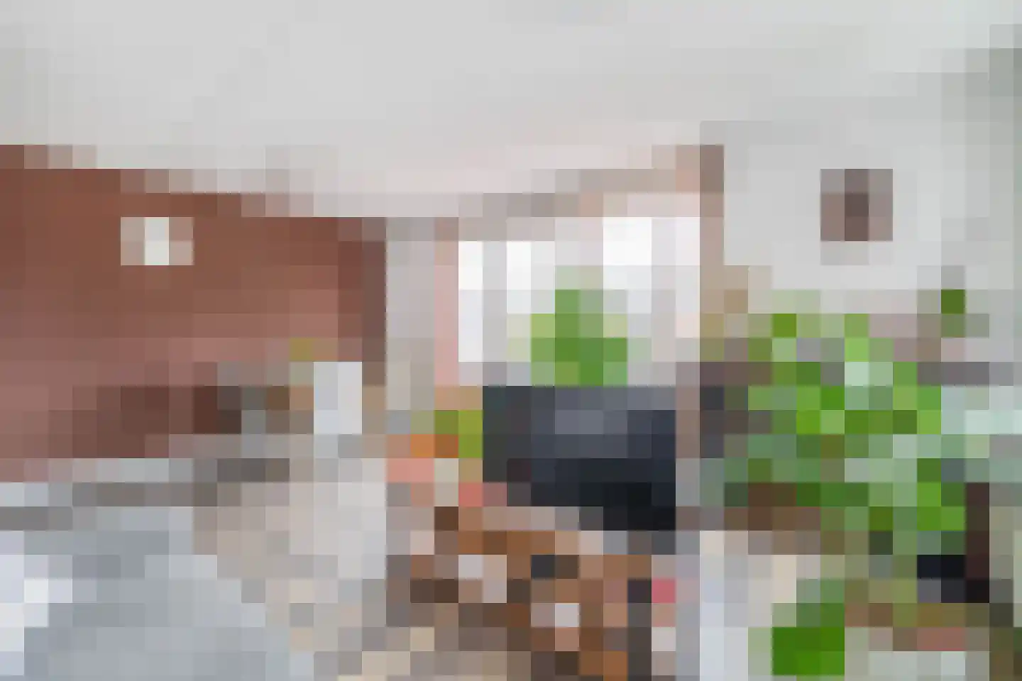 Essenlaan 32 c Sassenheim thumbnail 4