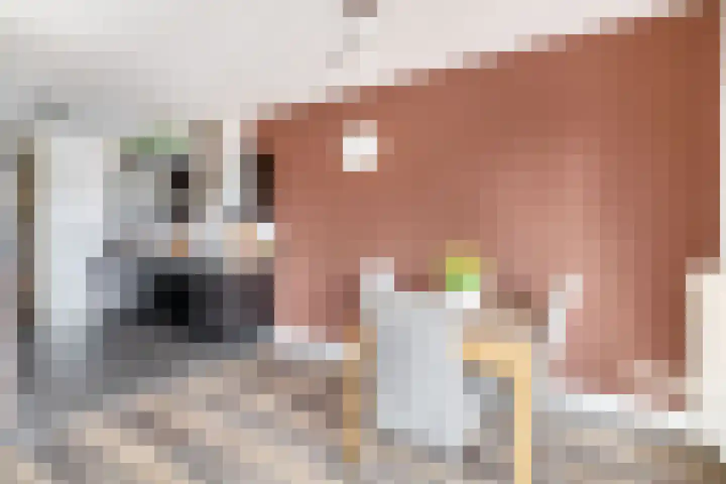 Essenlaan 32 c Sassenheim thumbnail 7