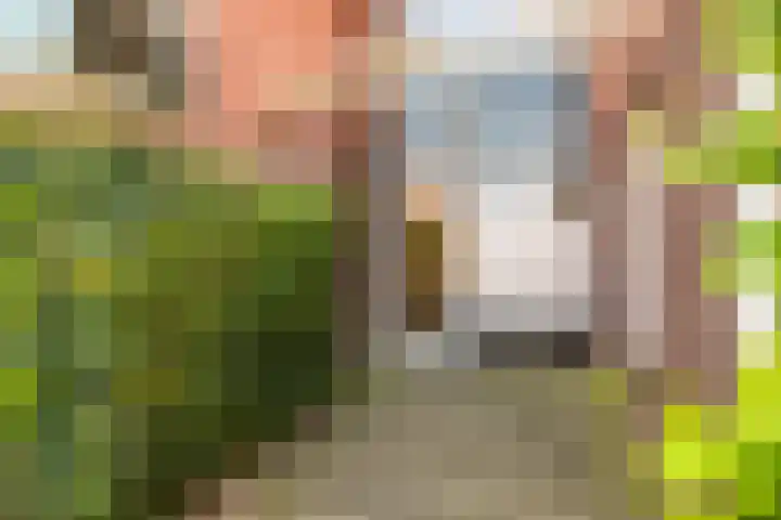 Essenlaan 32 d Sassenheim thumbnail 10
